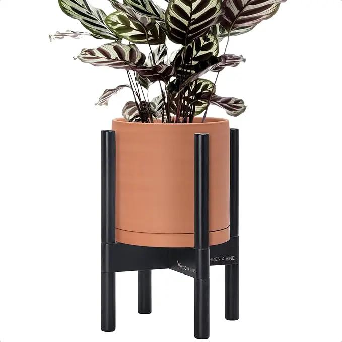 D'vine Dev Terracotta Planter with Ebony Stand - 8 Inch Modern Round Flower Pot with Wood Planter Holder, Terracotta, 55-B-M-5 by GreenHaven Gardens