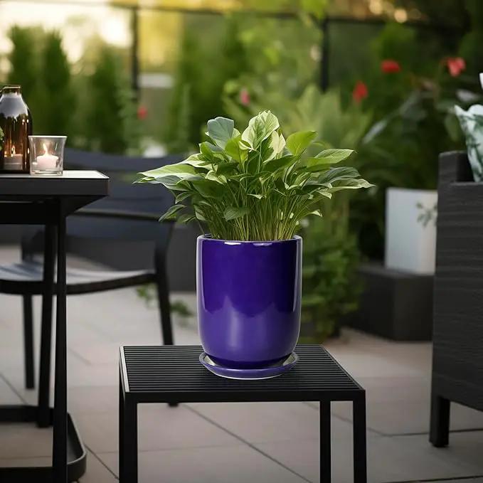 Ceramic Plant Pot - 8 Inch Planter for Indoor Plants Outdoor Flower Pot with Drainage Hole and Saucer Home Patio Office Decor Blue by GreenHaven Gardens