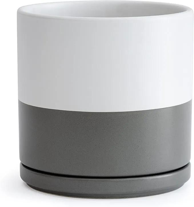 D'vine Dev 8 Inch Ceramic Planter Pot with Drainage Hole and Saucer, Indoor Cylinder Round Planter Pot, White/Speckled Grey, 94-O-D-6 by GreenHaven Gardens
