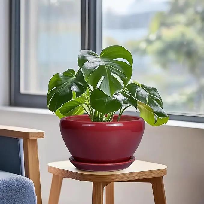 Ceramic Plant Pot 9 Inch - Planter Pot with Drainage Hole and Saucer, Round Large Planter for Indoor Plants, Outdoor Flower Pot for House Patio Decor, Red by GreenHaven Gardens