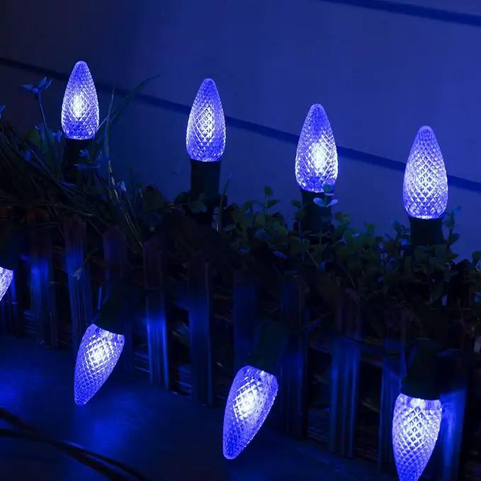 C9 Led Christmas String Lights, 20 Led 25.75 Feet Outdoor Waterproof Strawberry Lights with 20 Stakes, Extendable Green Wire String Lights for Indoor Outside Patio Wedding Party Decoration, Blue by GreenHaven Gardens
