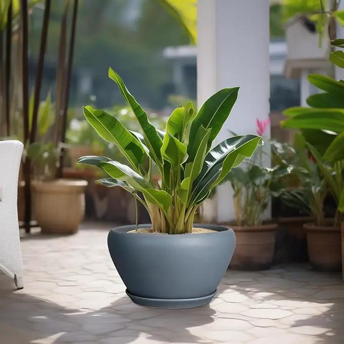 Ceramic Planter - 13 Inch Planter for Indoor Plants Large Plant Pot with Drainage Hole and Saucer Round Outdoor Planter Modern Flower Pot for Home Decor Gray by GreenHaven Gardens