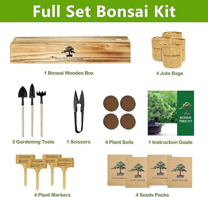 Bonsai Tree Kit, Bonsai Starter Kit with 4 Bonsai Tree Seeds, Tools & Planters, Bonsai Tree Live Plants Indoor, Gardening Gifts for Women Men Mom Father Plant Lover, Unique Christmas Gifts by GreenHaven Gardens