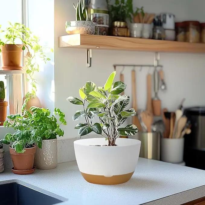 10 Inch Pots for Indoor Plants, Large Self Watering Planters with Drainage and Saucers, Plastic Outdoor Flower Pot, Set of 2, White by GreenHaven Gardens