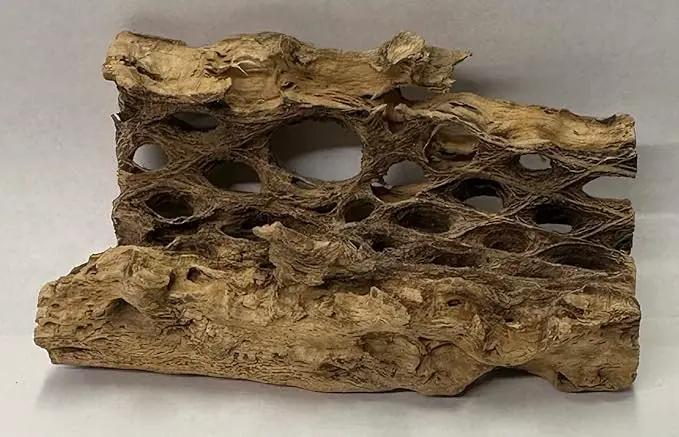 Natural Cholla Wood Chunk Air Plant Display Holders Individually Unique Decorative Stands Holder (Cholla Chunk) by GreenHaven Gardens