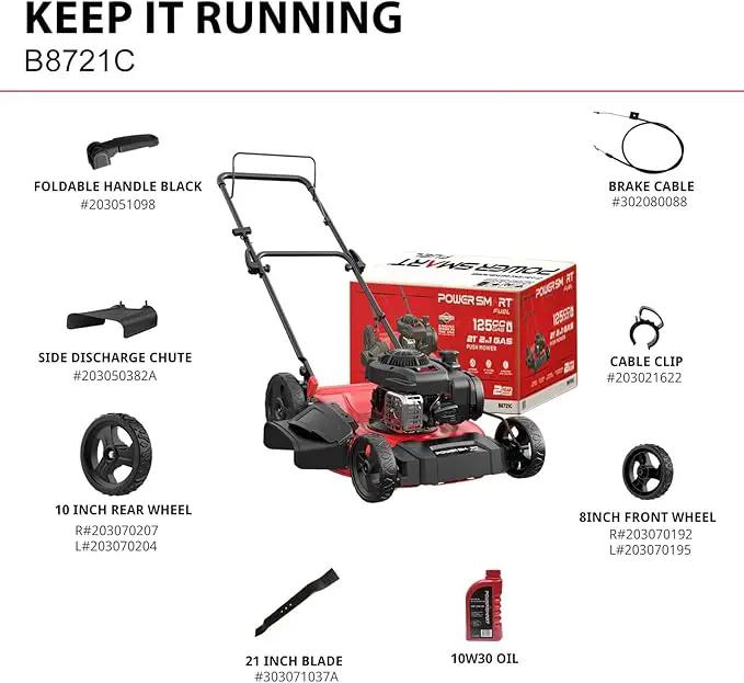 PowerSmart 21 in. Gas Lawn Mower with 125cc Briggs and Stratton E300 Engine, 2-in-1 Push Mower with Mulching & Side-Discharge by GreenHaven Gardens