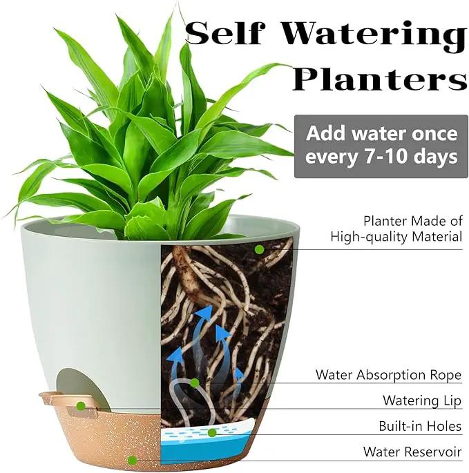Indoor Pot For Plants 3 Pack 12/10/9 Inch Self Watering Pot For Lazy People,Self Watering Pots For Indoor Plants,Outdoor Pots For Succulent, African violets And Cactus Green Plastic Flower Pots by GreenHaven Gardens
