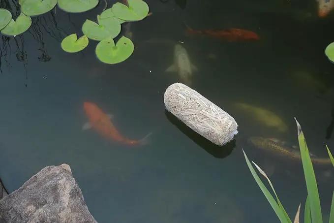 Summit Clear-Water Barley Straw Pond Treatment, 2-Pack, Treats upto 2000 Gallons, 1000 Gallons per Bale by GreenHaven Gardens