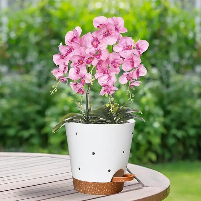 Orchid Pots with Holes, 6 Inch Self Watering Orchid Pot 2 Pack Plastic Plant Pots for Orchid, Flower (White+Brown) by GreenHaven Gardens