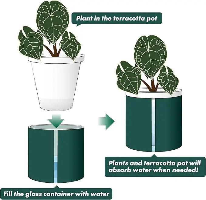 D'vine Dev 6 Inch Design Self Watering Planter for Indoor Plants, White Terracotta Pot with Teal Cylinder Glass Cup, Set of 2, 37-Y-B-5 by GreenHaven Gardens