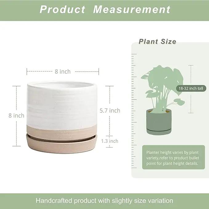 8 Inch Pots for Plants, Ceramic Planter Pot with Drainage Hole & Saucer, Indoor or Outdoor Cylinder Round Planter Pot, Matte White & Beige by GreenHaven Gardens