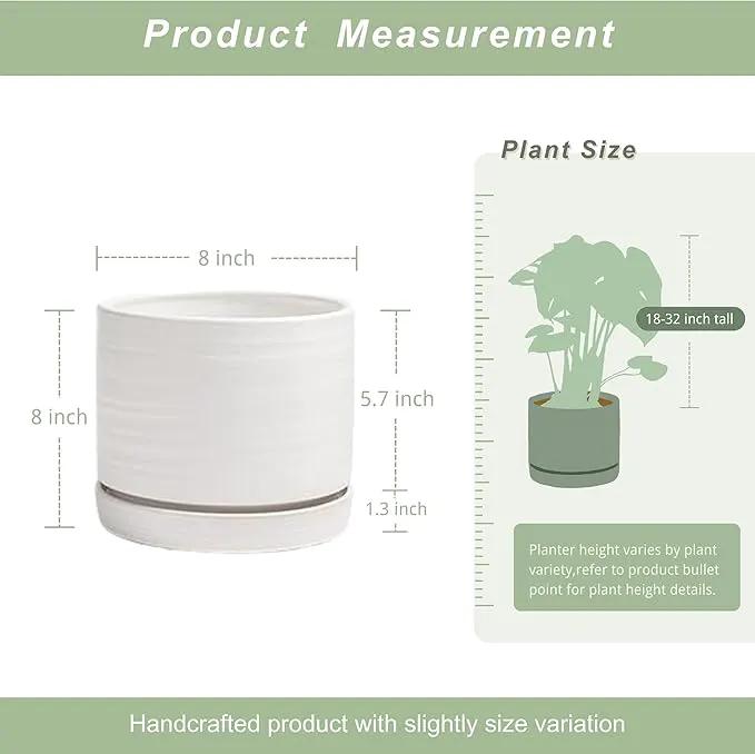 8 Inch Pots for Plants, Ceramic Planter Pot with Drainage Hole & Saucer, Indoor/Outdoor Cylinder Round Planter Pot, Matte White by GreenHaven Gardens