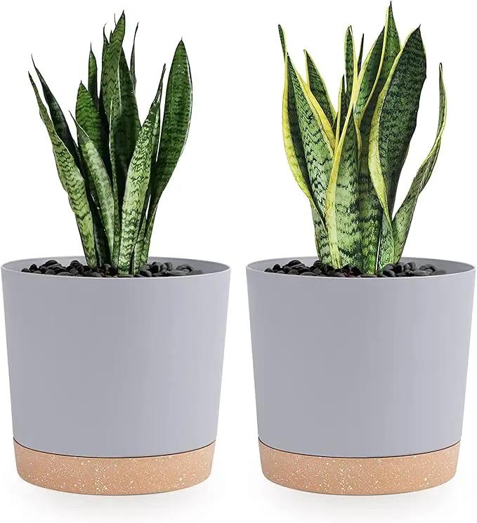 QCQHDU 8 inch Plant Pot, 2 Pack Planters for Indoor Plants with Drainage Holes & Saucer, Outdoor Flower Pots Home Garden Modern Decor by GreenHaven Gardens