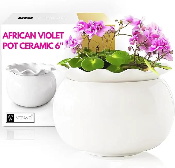 African Violet Pots 6 Inches Ceramic, Effortless Self Watering Pots for Indoor Plants for Busy Plant Lovers, Easy Plant Self Watering Pot, Plant Pots, Flower Pot, Plant pots Indoor by GreenHaven Gardens