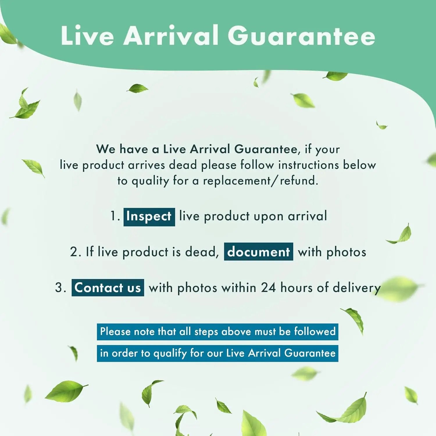 Anubias Live Aquarium Plants - Potted Freshwater Plant for Fish Tanks, Terrariums - Beginner Friendly Low Light (Chili Jalapeno, 1 Pot) by GreenHaven Gardens
