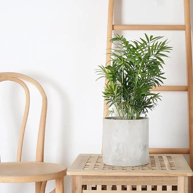 Plant Pots - 5.5 inch Cement Planters Indoor - Modern Grey Flower Pot with Drainage Hole - Home Office Decor by GreenHaven Gardens