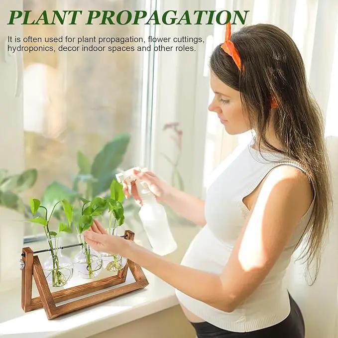 Plant Propagation Station, Plant Terrarium with Wooden Stand, Unique Gardening Birthday Gifts for Women Plants Lovers, Home Office Garden Decor Planter - 3 Bulb Glass Vases by GreenHaven Gardens