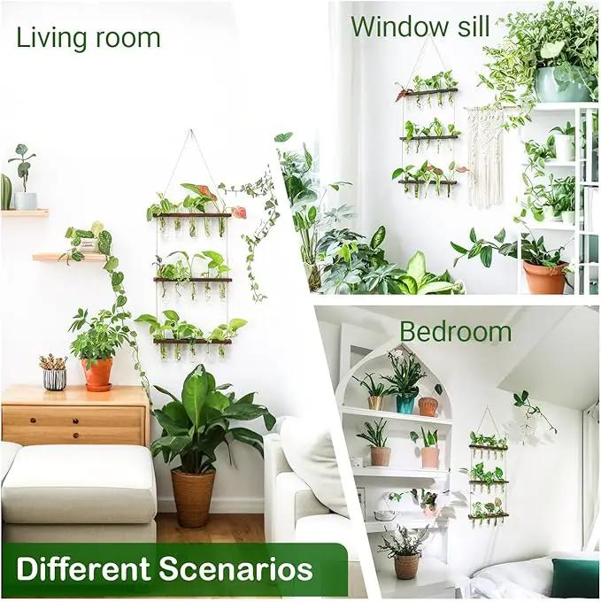 Ivolador Hanging Plant Propagation Tubes,3 Tiered Wall Hanging Terrarium Flower Planter Vase for Hydroponic Plants Cutting Home Office Garden Decor Plant Lover Gift by GreenHaven Gardens
