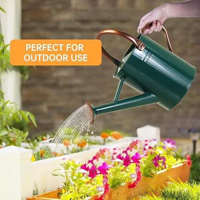 Metal Watering Can for Outdoor Plants, 1 Gallon Galvanized Steel Watering Can with Removable spout for Outdoor & Indoor Use, Perfect for Garden Flower, Houseplants, Forest Green