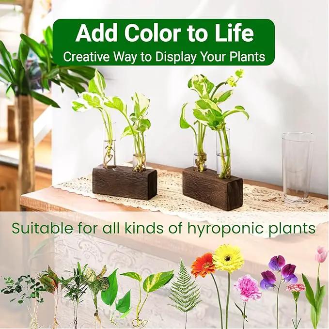 Ivolador Plant Propagation Stations 4 Test Tube Plants Terrariums in Wooden Stand Gifts for Plant Lovers for Hydroponic Plants Office Home Decor Hydroponic Vase Gift Box 2 Sets by GreenHaven Gardens