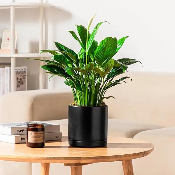 vancasso Ceramic Plant Pots, 3 Piece Planters for Indoor Plants, 4.25+5.25+6.25 Inch Flower Pots with Drainage, Plant Pots Indoor for Succulent, Pothos, Snake Plant and Money Tree, Etc (Black) by GreenHaven Gardens