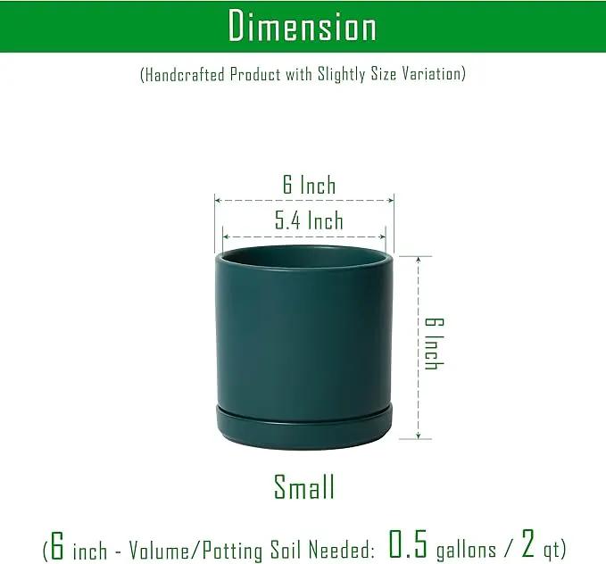 D'vine Dev 6 Inch Ceramic Planter Pot with Drainage Hole and Saucer, Indoor Cylinder Round Planter Pot, Teal, 94-O-C-9 by GreenHaven Gardens