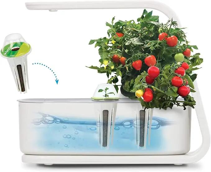 AeroGarden Sprout - Indoor Garden with LED Grow Light, White by GreenHaven Gardens
