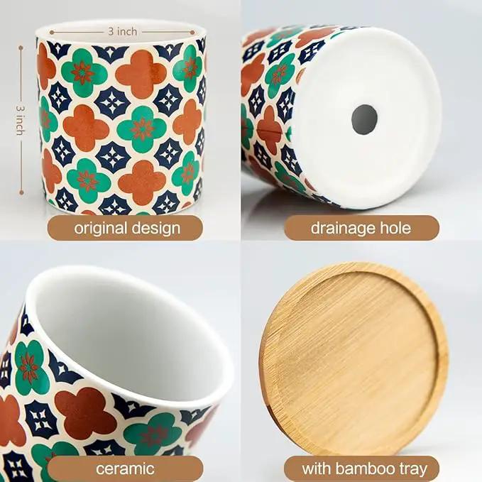 6 Pack Succulent Pots with Drainage Hole, 3 inch Ceramic Succulent Planter with Bamboo Tray, Bright Color Succulent Plant Pots for Cacti Succulent Soil Potting Mix Indoor/Outdoor by GreenHaven Gardens