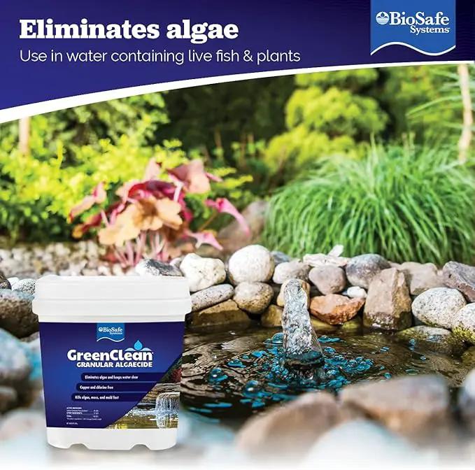 BioSafe Systems 3002-8 GreenClean Granular Algaecide String Algae Control for Koi Ponds, Fountains, Waterfalls, Water Features on Contact, 8 lbs, EPA Registered by GreenHaven Gardens