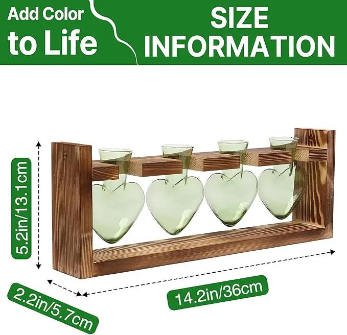Plant Propagation Stations Heart Plant Terrarium Kit Gift for Women Plant Lover Glass Vases by GreenHaven Gardens