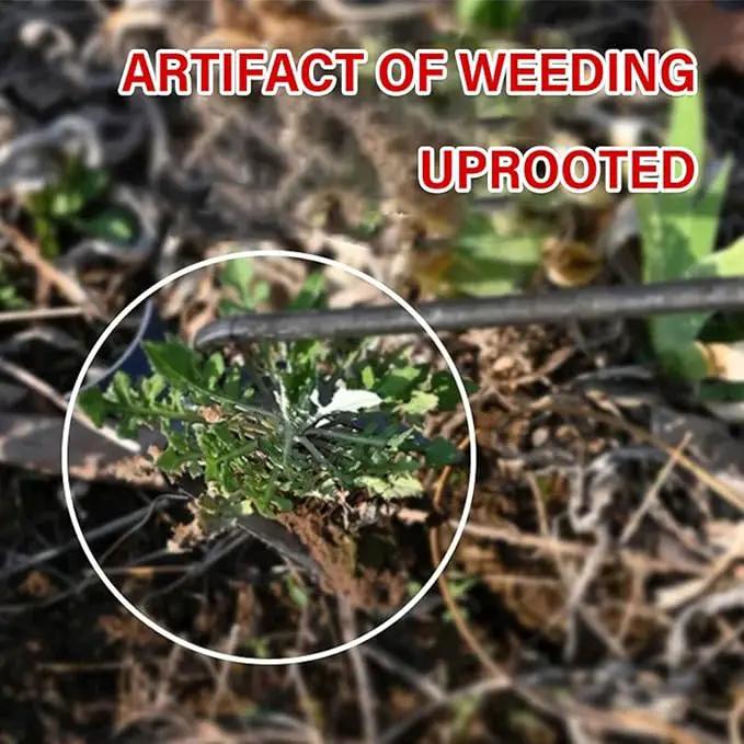 Weeding Artifact Uprooting Weeding Tool, Multifunctional Weeder, Hand Weeder Tool, 4 Teeth Stand Up Weed Puller Tool with Handle for Garden Yard Farm Weed Removal (16in, Extra Long Wood Handle) by GreenHaven Gardens
