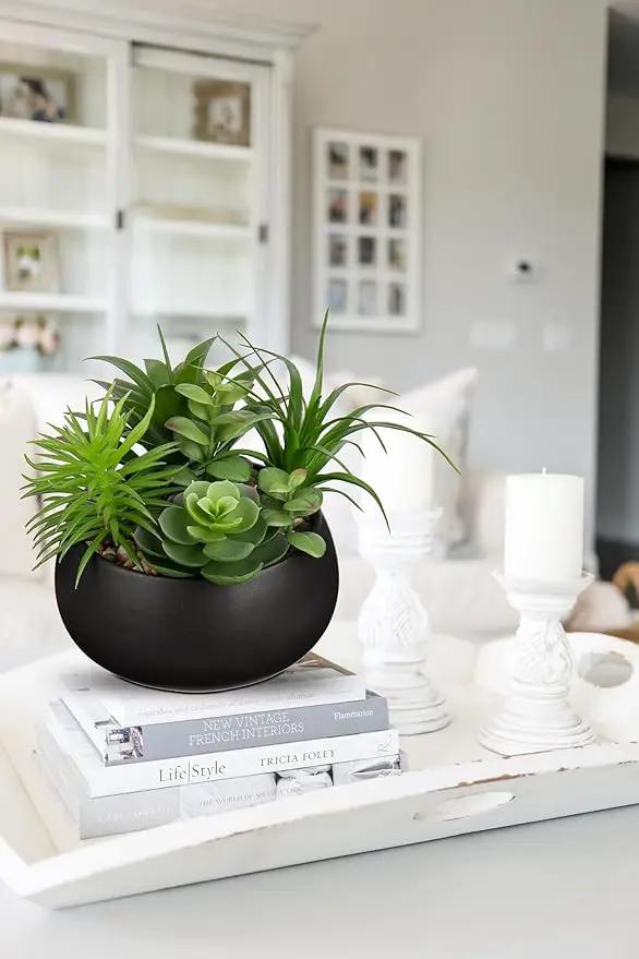 Fake Plants Artificial Succulents in Pots Faux Succulent Arrangement Potted Plant in Black Ceramic Planter Bowl for Home Decor Office Desk Bathroom Shelf Living Room Indoor Decorations by GreenHaven Gardens