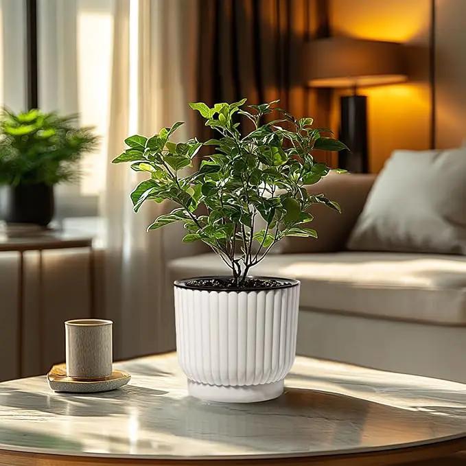 T4U 7 Inch Self Watering Pots for Indoor Plants, 4 Pack White Plastic Flower Pots for All House Plants, Flowers, African Violets by GreenHaven Gardens