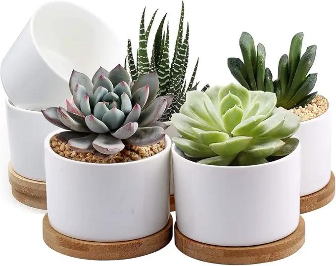 ZOUTOG Succulent Pots, White Mini 3.15 inch Ceramic Flower Planter Pot with Bamboo Tray, Pack of 6 - Plants Not Included by GreenHaven Gardens