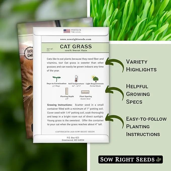 Sow Right Seeds - Bulk Cat Grass Seeds for Planting - 8 oz - Non-GMO Heirloom 100% Sweet Oats Grass for Cats and Dogs - Easy to Grow Healthy Greens - Safe & Natural Indoor Use - Ideal for Pet Lovers by GreenHaven Gardens
