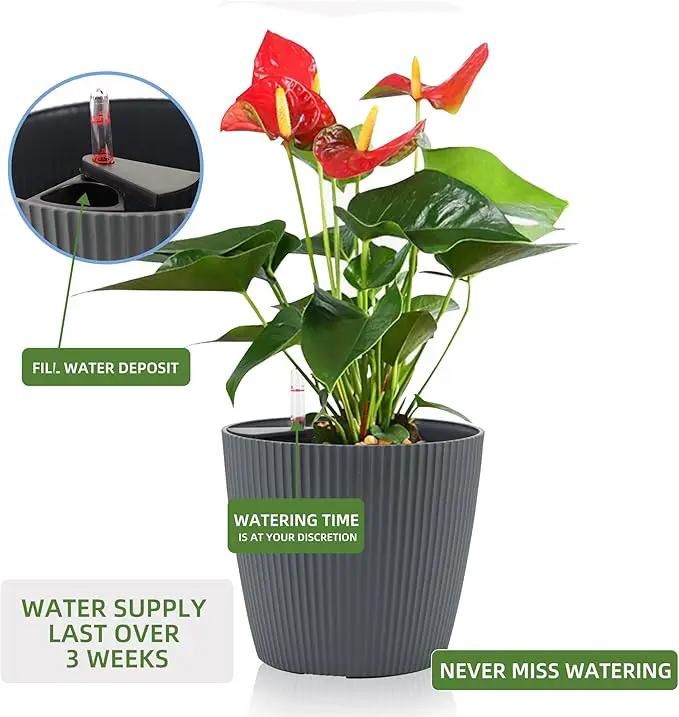 Dexceder 11x10 Self Watering Planters Indoor, Inner Mat Design, Table Flower Plant Pot with Water Level Indicator (2 Pack, Gray) by GreenHaven Gardens