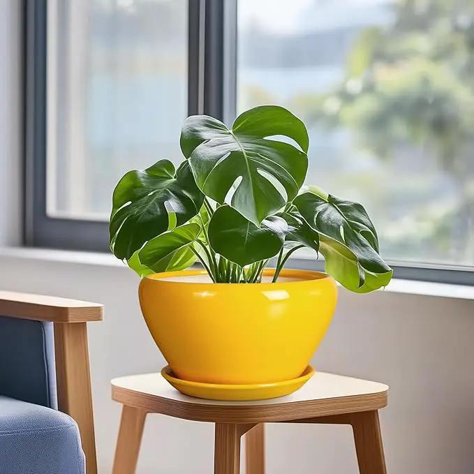 Ceramic Planter 9 Inch - Mid-Century Round Modern Plant Pot Indoor with Drainage Hole and Saucer for Outdoor Plants, Balcony House Garden Patio Home Decor, Yellow by GreenHaven Gardens