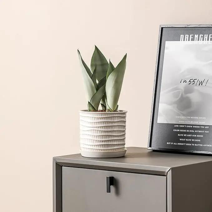 5.8 Inch Plant Pot: Ceramic Planter with Drainage Hole & Saucer - Cream White Flowerpot for Indoor & Outdoor Plants - with Separate Tray for Home & Office - Wave Embossed Design by GreenHaven Gardens