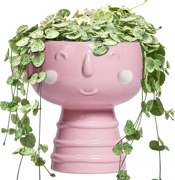 Smiley Face Planter - 7 Inch Ceramic Head Planter for Indoor Outdoor Plants, Cute Succulent Pots with Drainage Hole, Decorative Flower Pots, Home Room Desk Decor, Birthday Gifts, Bright Pink by GreenHaven Gardens