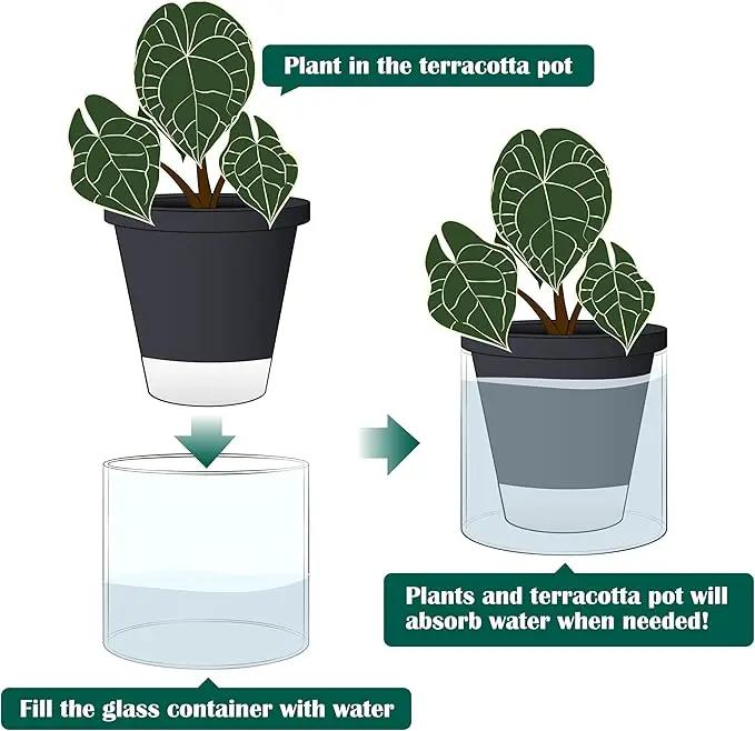 D'vine Dev 6 Inch Design Self Watering Planter for Indoor Plants, Black Terracotta Pot with Cylinder Glass Cup, 37-X-B-3 by GreenHaven Gardens