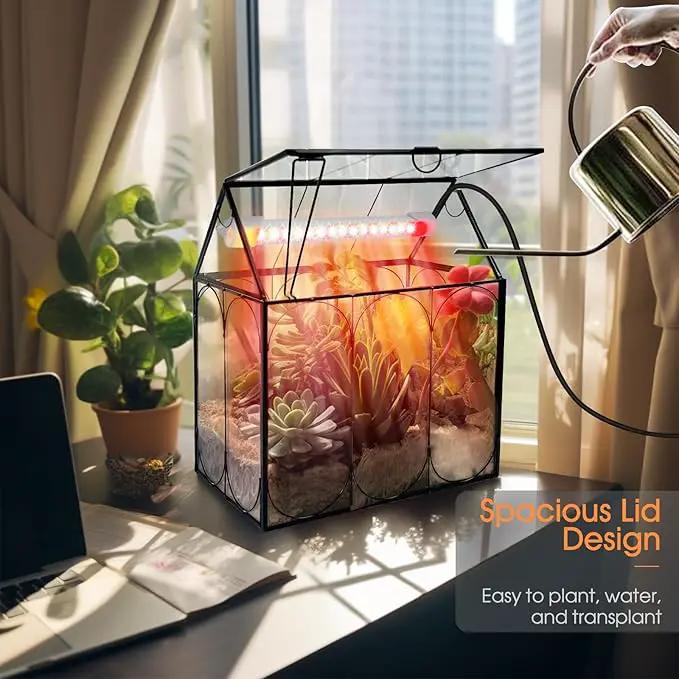 Plant Terrarium Kit with Grow Light, Rifny Large Glass Terrarium Jar with Absorbent Mat and Lid for Venus Fly Trap Succulent Live Air Plants Indoor Home Office Decor (Black, 8.9 x 5.9 x 9.9 inch) by GreenHaven Gardens
