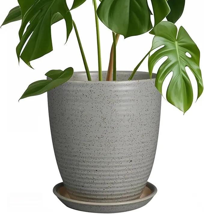 8 Inch Plant Pot Ceramic Planter Pot with Drainage Hole and Saucer Modern Round Flower Pot for Indoor Plants Light Gray by GreenHaven Gardens