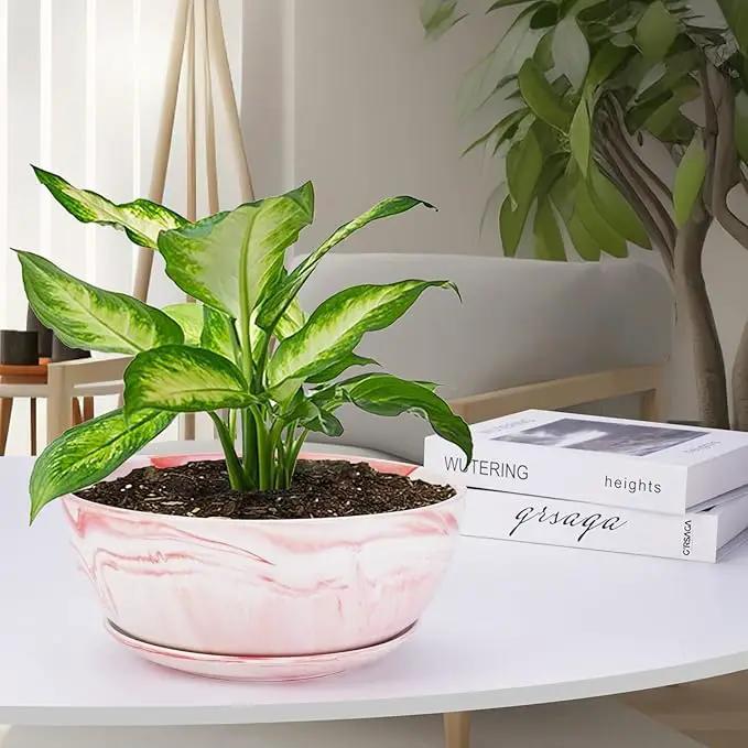 G EPGardening Large Ceramic Succulent Planter Pot with Drainage Hole and Saucer Large Marble Flower Pot for Plants Round Bonsai Planter Pot Indoor Outdoor Pink by GreenHaven Gardens