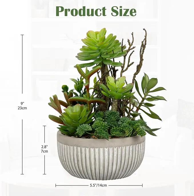 DILATATA Small Faux Plant Assorted Fake Succulents Plants Faux Succulents Arrangement Cement Potted Desk Plants Small Fake Plants for Home Table Office Bathroom Shelf Living Room Decor by GreenHaven Gardens