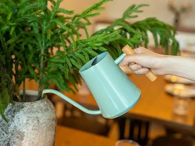 Watering Can Indoor Plants Mint Green 35oz Cute Watering Can Decorative Small Matal Watering Pot for House Bonsai Plants Garden Flower Indoor Outdoor by GreenHaven Gardens