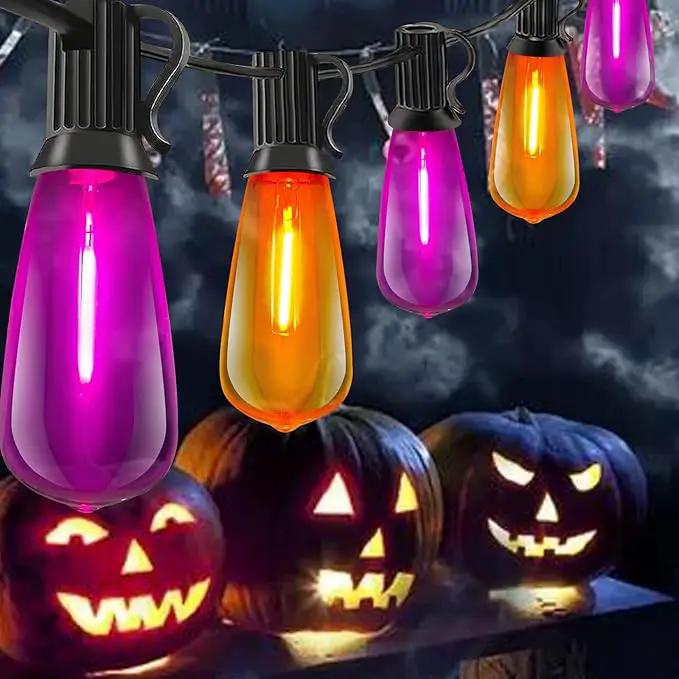 10Ft LED Outdoor String Lights, Halloween Orange Purple Lights with 10 0.6W ST40 LED Bulbs, Waterproof Connectable Patio Lights for Indoor Outdoor Backyard Garden Halloween Christmas Holiday Decor by GreenHaven Gardens