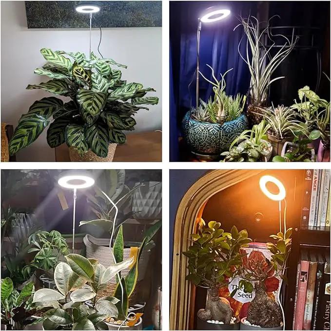 Grow Lights for Indoor Plants, 48 LEDs Full Spectrum Plant Light for Indoor Plants, Height Adjustable Growing Lamp with Base, 3 Optional Spectrums, Auto Timer 3/9/12Hrs, 10 Brightness,2 Pack by GreenHaven Gardens