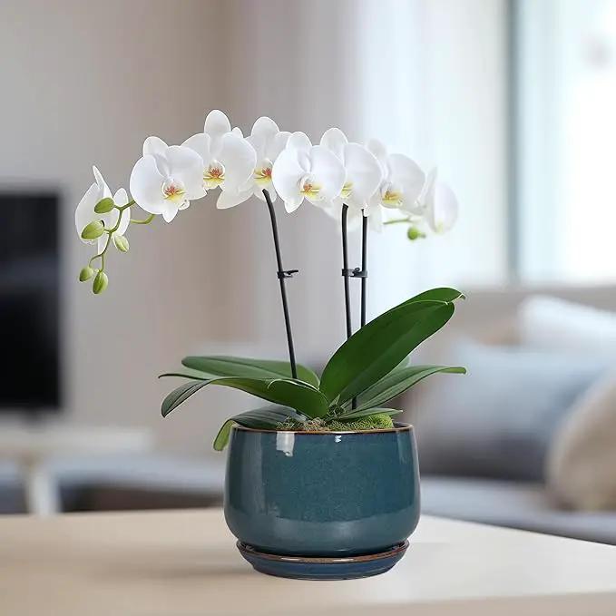 G EPGardening Ceramic Planter 6 Inch - Round Modern Ceramic Pot for Plants with Drainage and Plant Tray Indoor for Flower, Apartment Decor, Housewarming Gifts New Home, Retro Blue by GreenHaven Gardens