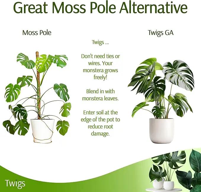Stackable Monstera Plant Support Stakes, Climbing Plants Support Structures for Indoor & Outdoor Use, Garden Accessories, Alternative to Moss Pole - Monstera Green, 5 Pack, 17" L by GreenHaven Gardens
