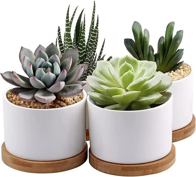 ZOUTOG Succulent Planter, White Mini 3.15 inch Ceramic Flower Planter Pot with Bamboo Tray, Pack of 4 - Plants Not Included by GreenHaven Gardens
